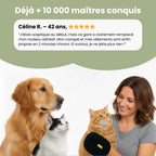 Gant de Toilettage pour Chien et Chat – Brosse Anti-Poils