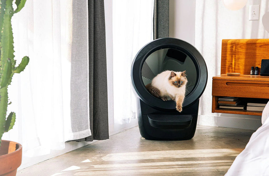 Litter-Robot 4 – Bac à Litière Auto-Nettoyant pour Chats