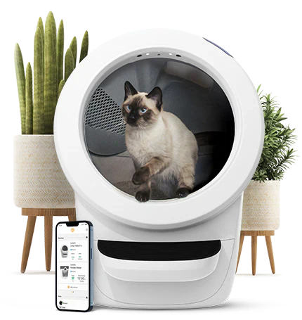 Litter-Robot 4 – Bac à Litière Auto-Nettoyant pour Chats