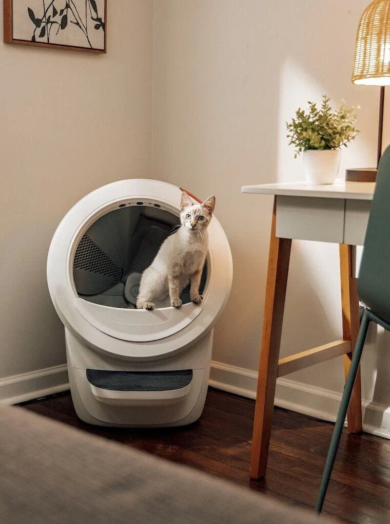 Litter-Robot 4 – Bac à Litière Auto-Nettoyant pour Chats